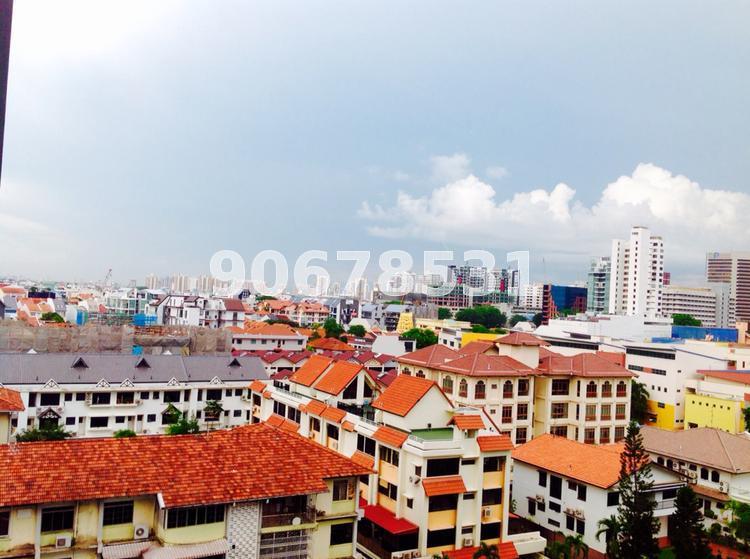 Haig 162 (D15), Condominium #63868992